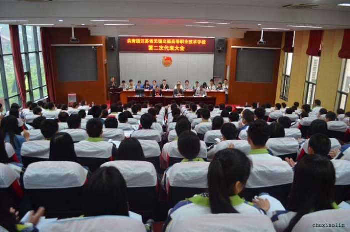 共青团开云·官方端网页版登录入口第二次代表大会隆重举行